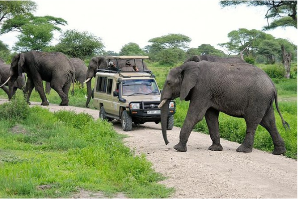 4 Days at Mahale National Park Chimpanzee Trek