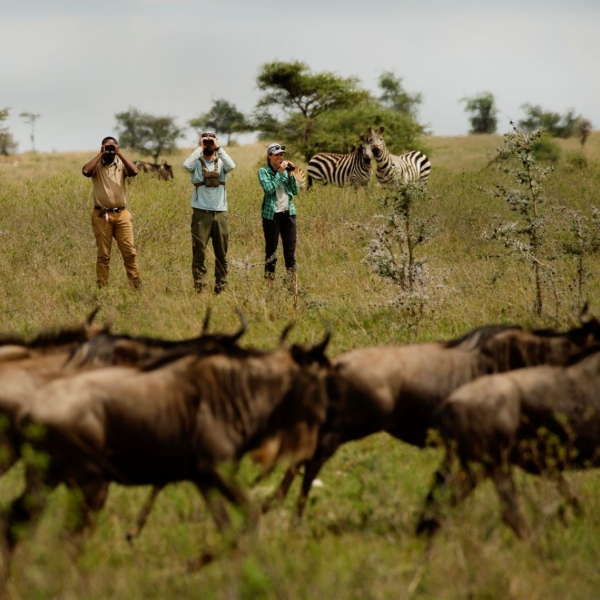 3 Nights | Serengeti Wilderness Walking Safari