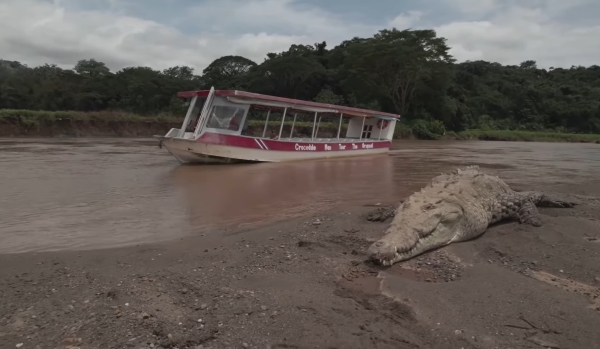 2 Day / 1 Night Trip To Nyerere National Park (Two Game Drive) By Air