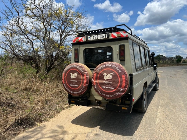 Day Trip To Mikumi National Park By Air