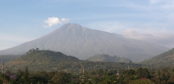 Day Trip to Arusha National Park