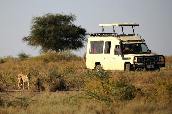 5 Days Manyara National Park & Serengeti National Park & Ngorongoro Conservation.