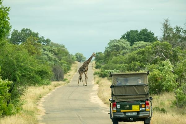 Five Days Authentic Wilderness Camping Safari