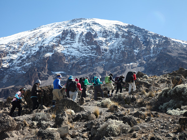 🏔️ Lemosho Route – 8 Days Kilimanjaro Climb