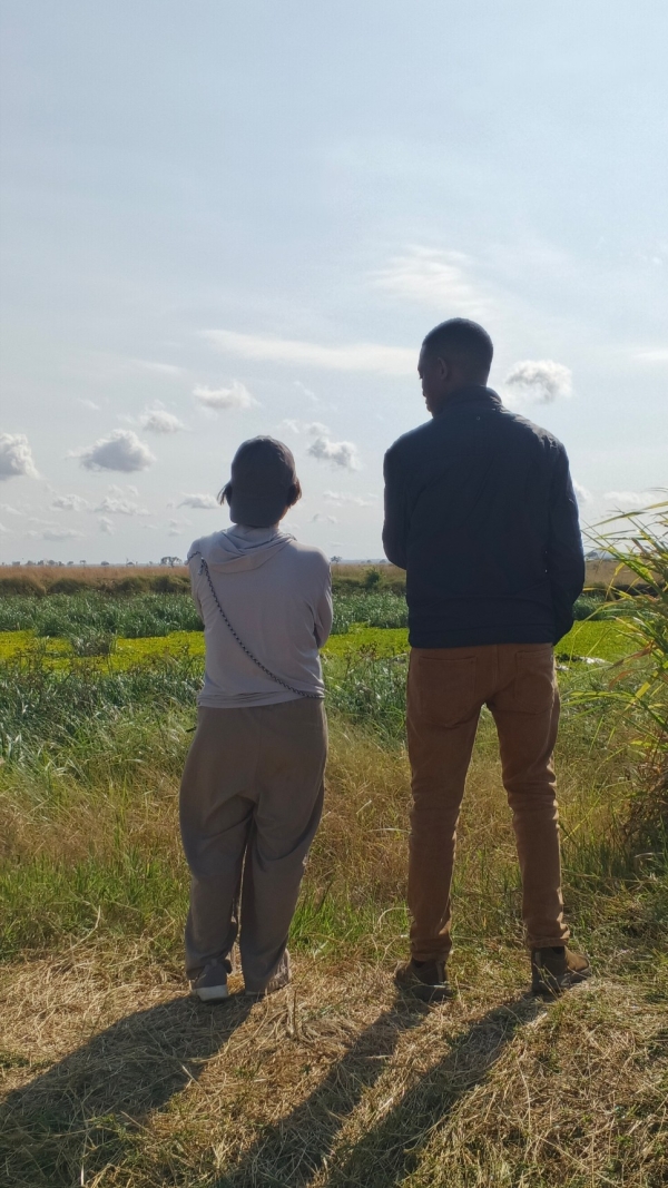 2 DAY  MIKUMI NATIONAL PARK