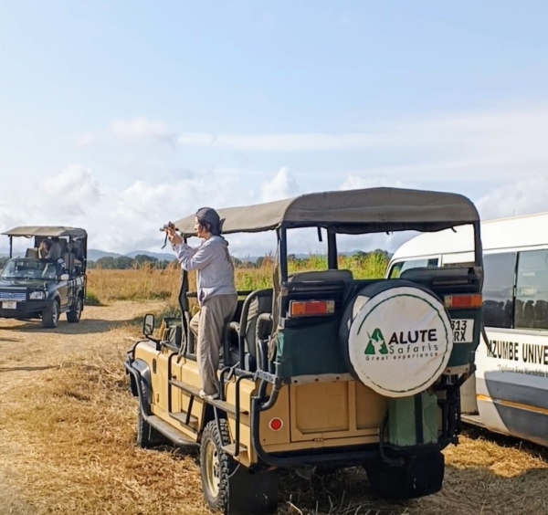 5 days Southern Tanzania safari mikumi and Nyerere