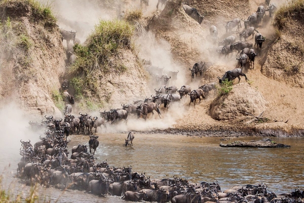 5-Day Wildebeest Migration Safari