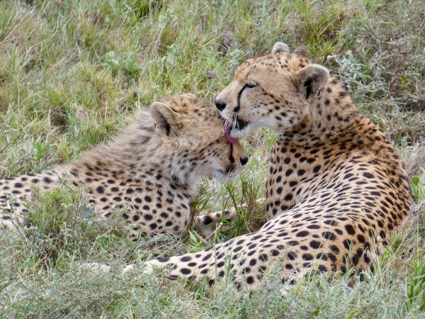 5-Day Luxury Epic Adventure