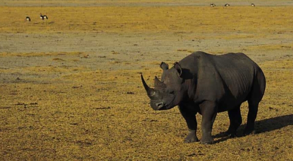 3-Day Waterfalls, Hot Springs & Tarangire National Park