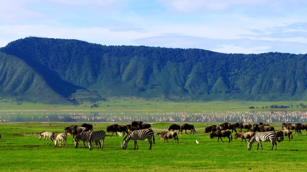 3-Day Tarangire/Lake Manyara/Ngorongoro Group Safari