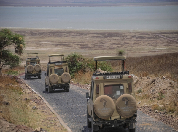 Northern Tanzania Safari