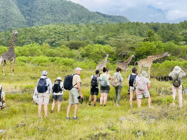 Arusha National Park Day Trip
