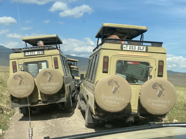 6-Day Great Migration Safari – Ndutu Calving Season