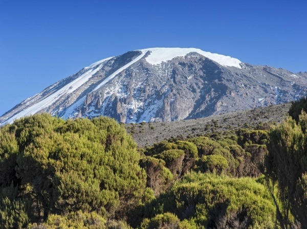 Lemosho Route 9 Days -Mount Kilimanjaro Trek