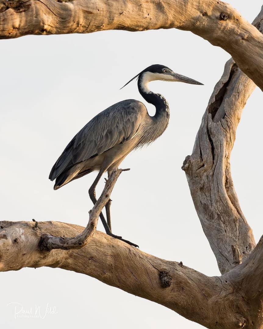 Essential Travel Tips for First-Time Visitors Exploring Tanzania