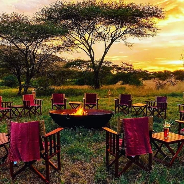 7-Day Birth to the Wild (the Classic Calving Season)