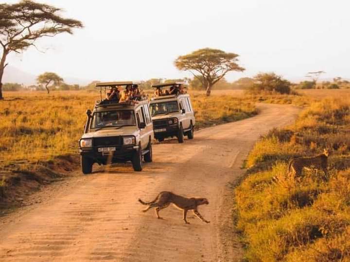 4x4 Safari Adventures