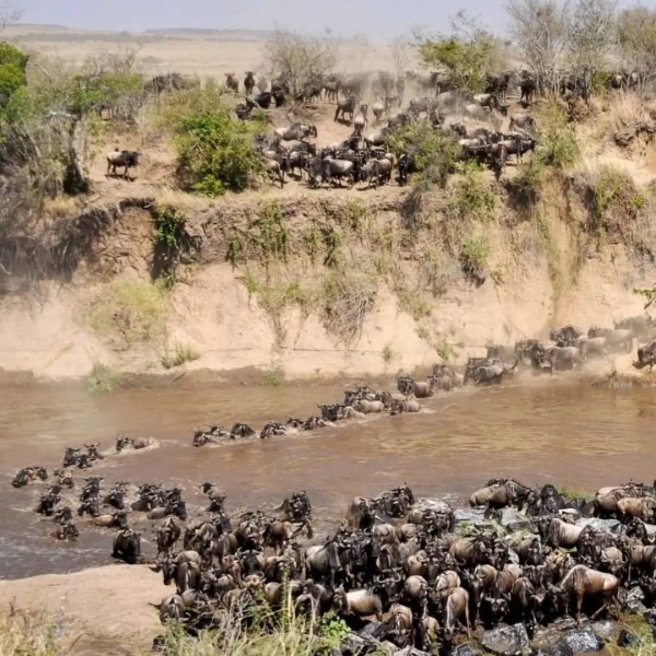 4- Day Joining Safari - Migration Serengeti ,  & Ngorongoro Crater