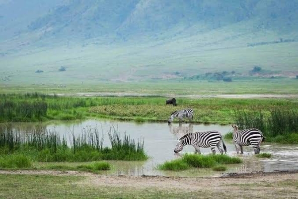 3-Day Joining Safari Tarangire / Lake Manyara & Ngorongoro Crater