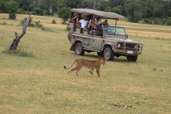 2-Day Private Safari from Dar es Salaam to Selous