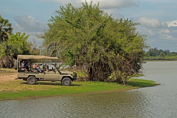 Selous Safaris
