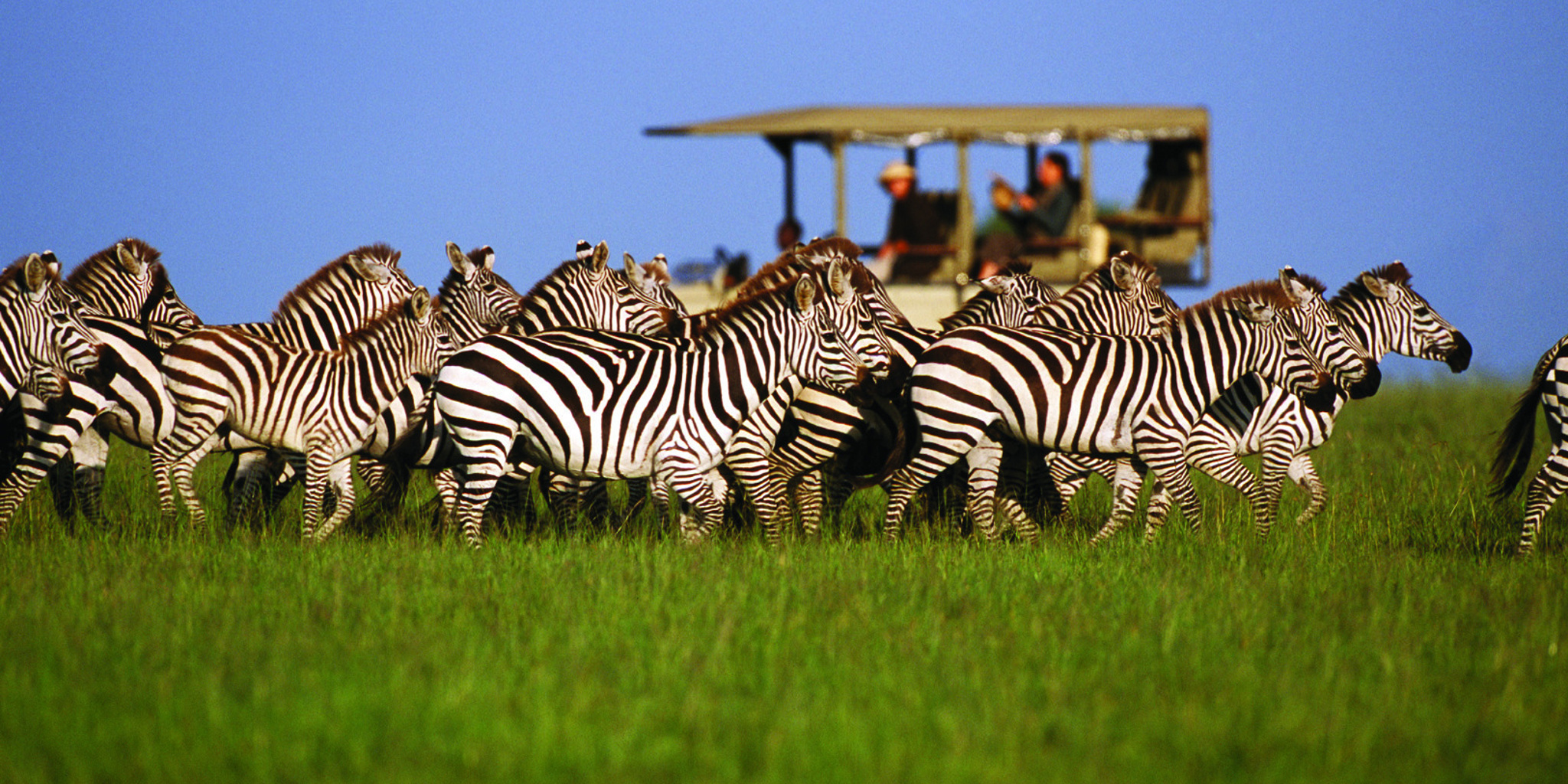 Serengeti Safaris, Tanzania Wildlife Adventures