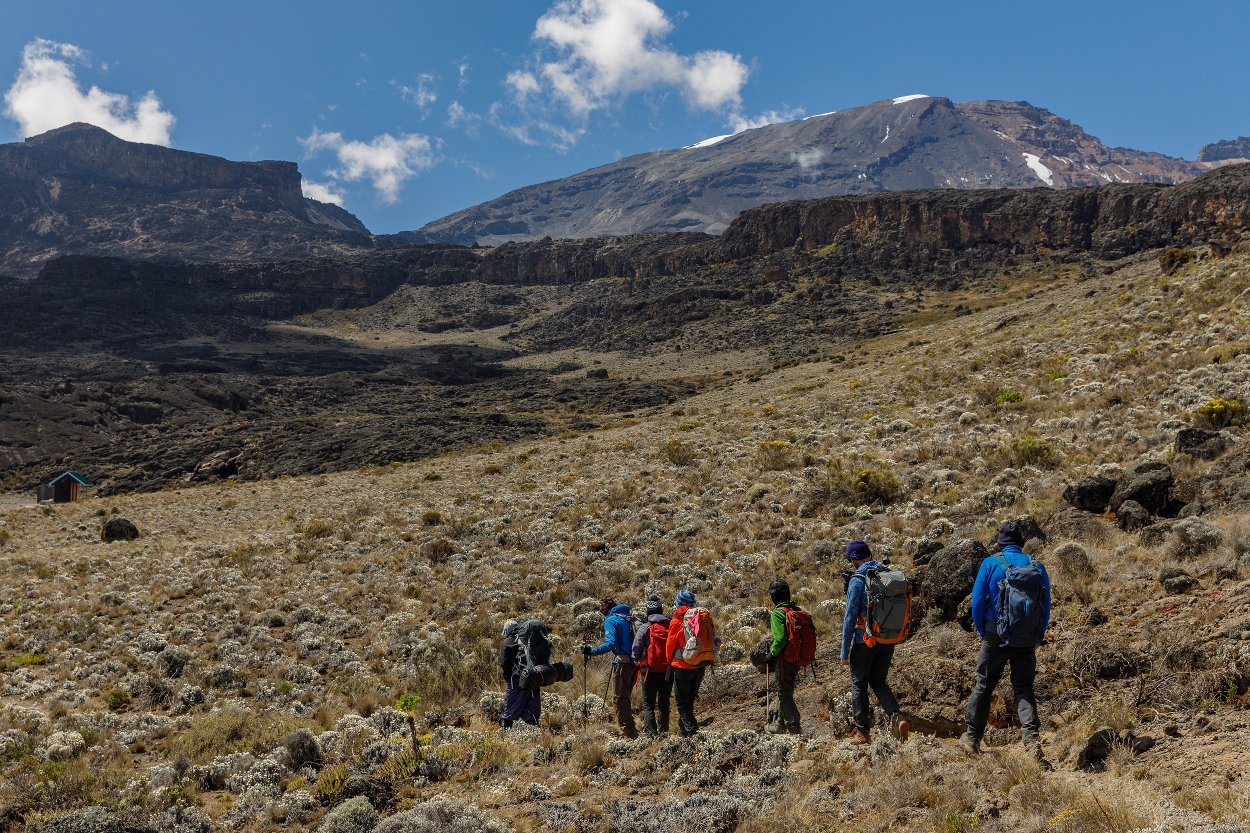 Lemosho Route Trekking 2026