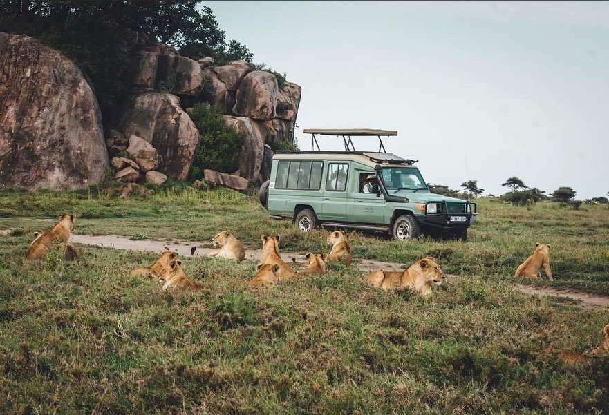 Safari in Tanzania – Complete 2025 Guide