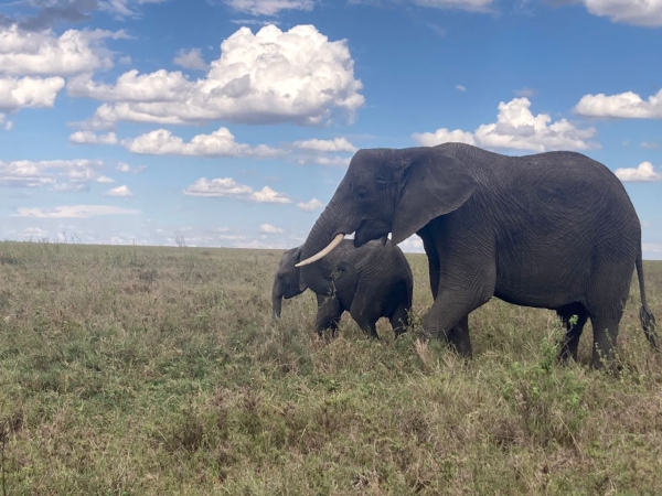 Tarangire National Park