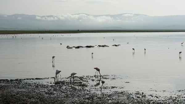 2 Days Private Lake Natron Safari and Waterfall
