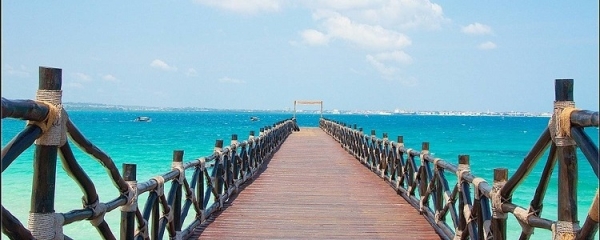 8 Days Luxury Safari -Tanzania