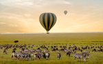 Eco-Lodge and Carbon-Neutral Safari in Tanzania