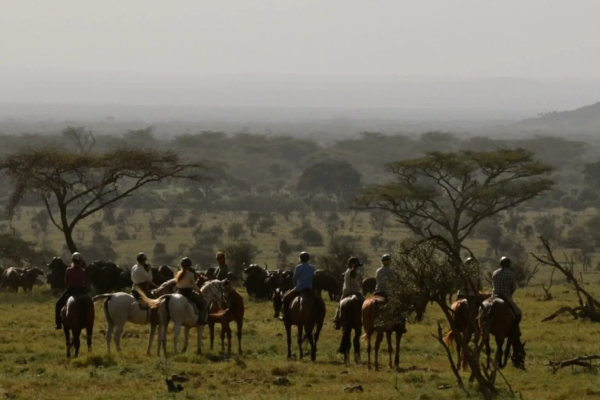 8 Days Tanzania Horse Riding Tour