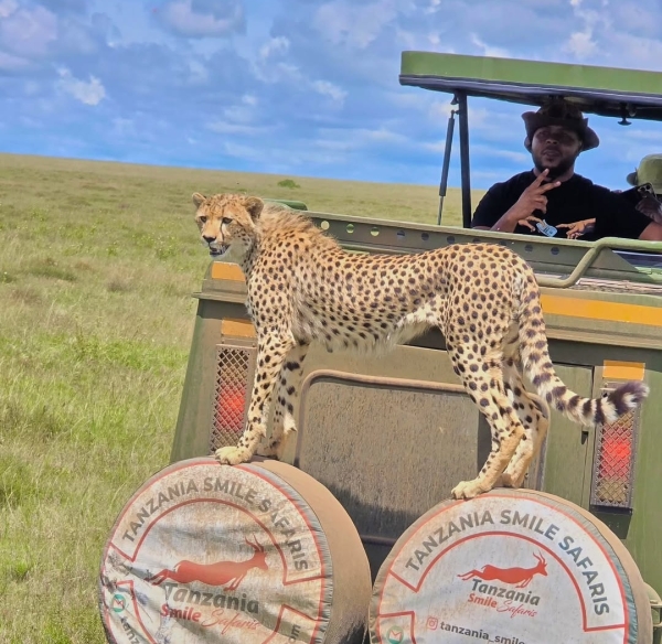 Ngorongoro Crater Day Trip  ( Residents TZS 220K )