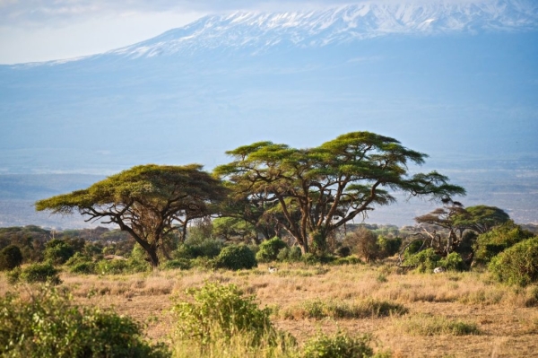 6 Days Marangu Route