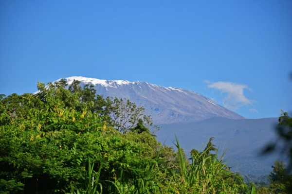 7-Day Machame Route – Scenic Summit Adventure
