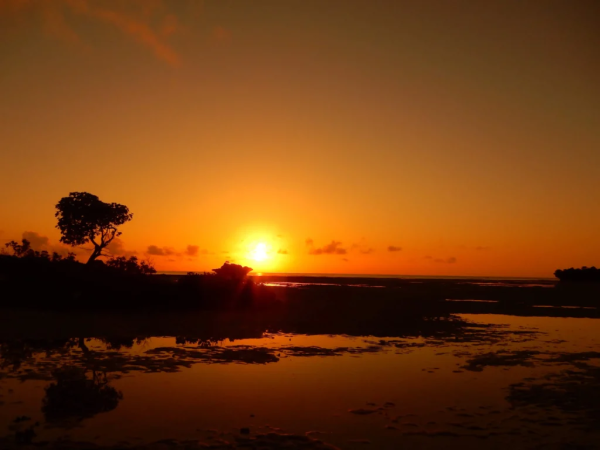 6 Days Tanzania Balloon Safari Tour