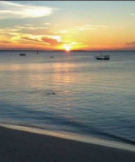 Secret Mangrove Kayak & Eco Tour – Zanzibar