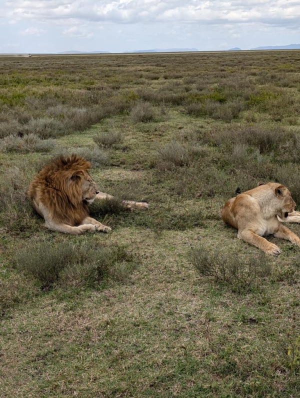 6-Day Tanzania Safari