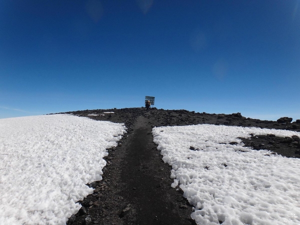 8-Day Lemosho Route Trek