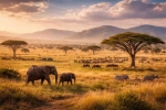 Tanzania Tourism