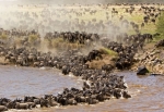 Serengeti National Park