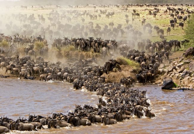 Serengeti National Park
