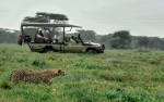 Game Drive