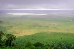 Safari Tours & Holidays in Tanzania