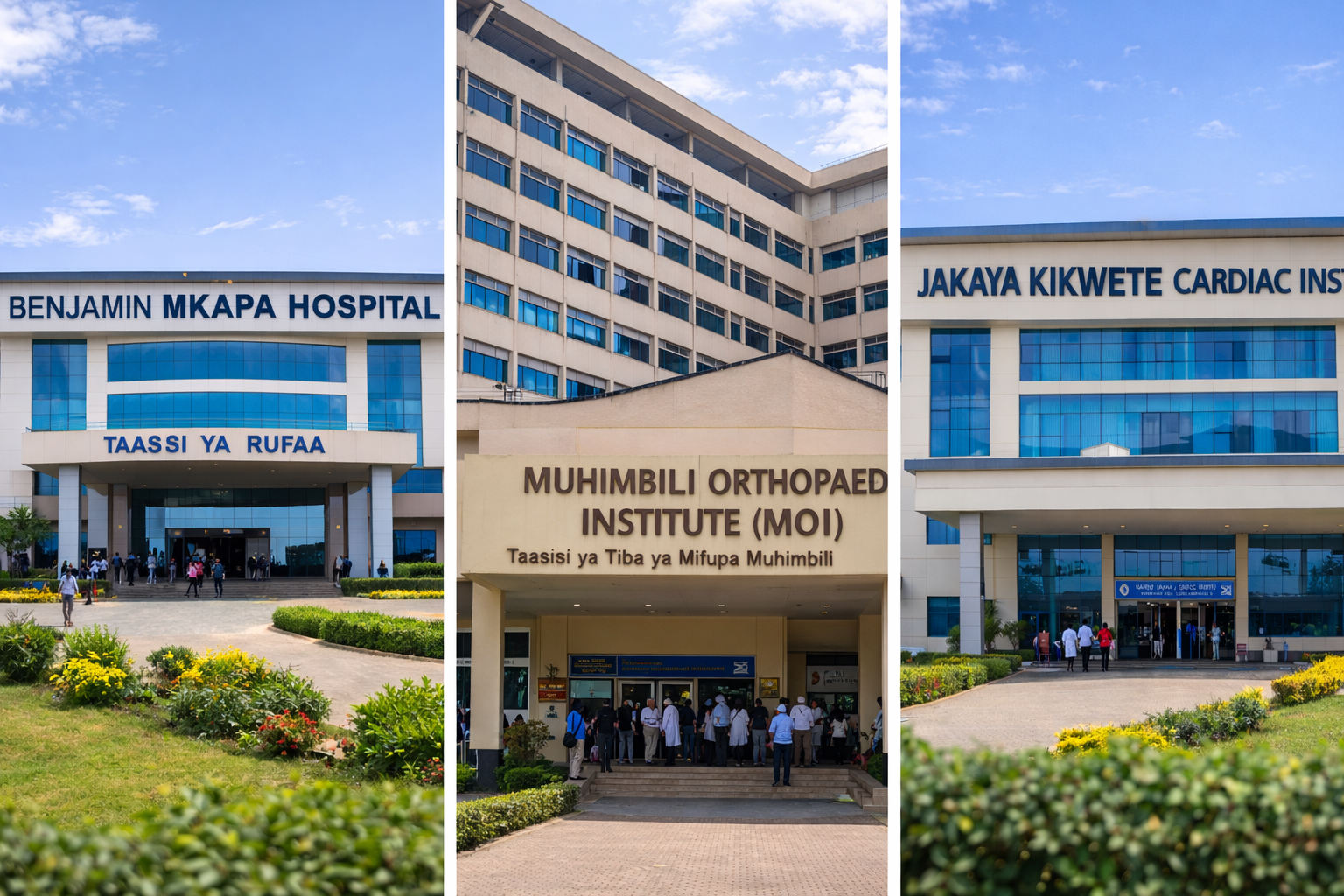 Tanzania Medical Tourism