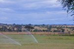 Serengeti Golf Course Emerges as New Frontier for Sports Tourism in Tanzania