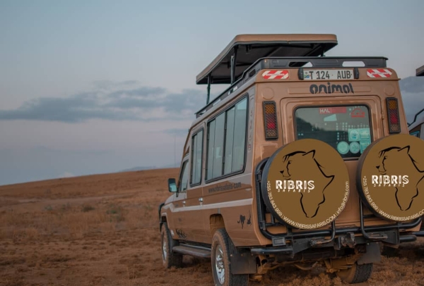 4 days FLY IN -FLY OUT